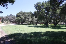 Enlarge photo 60