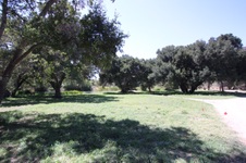 Enlarge photo 61