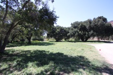 Enlarge photo 62