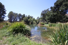 Enlarge photo 64