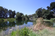 Enlarge photo 65