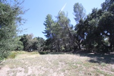 Enlarge photo 69
