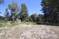 Enlarge photo 70