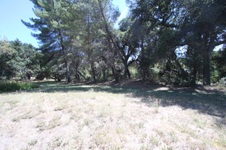 Enlarge photo 71