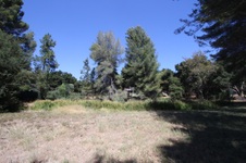 Enlarge photo 72