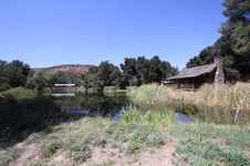 Enlarge photo 74