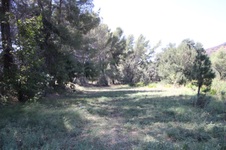 Enlarge photo 75