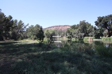 Enlarge photo 76