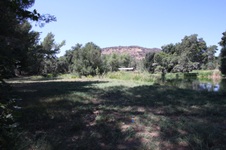 Enlarge photo 77