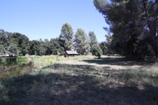 Enlarge photo 79