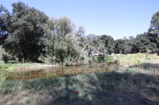 Enlarge photo 80