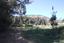 Enlarge photo 81