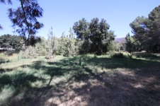 Enlarge photo 82