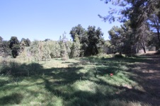 Enlarge photo 83