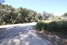 Enlarge photo 84