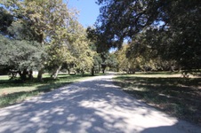 Enlarge photo 85