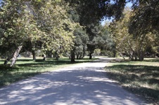 Enlarge photo 86