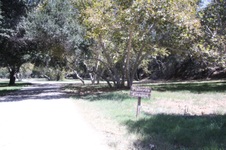 Enlarge photo 87