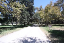 Enlarge photo 88