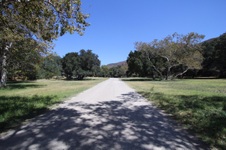 Enlarge photo 89