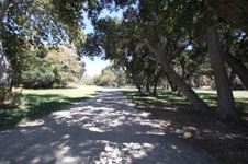 Enlarge photo 90