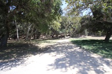 Enlarge photo 91