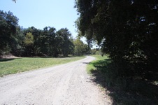 Enlarge photo 93