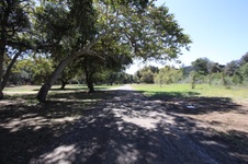 Enlarge photo 94