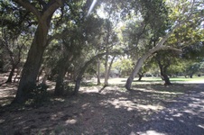 Enlarge photo 95