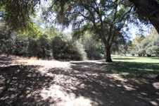 Enlarge photo 97