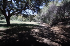 Enlarge photo 98