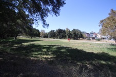 Enlarge photo 100