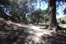 Enlarge photo 103