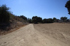 Enlarge photo 105