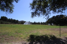 Enlarge photo 107