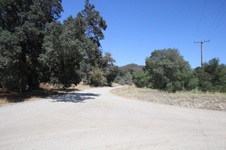 Enlarge photo 110