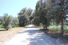 Enlarge photo 111