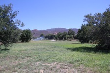 Enlarge photo 112