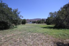 Enlarge photo 113