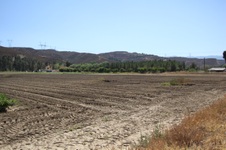 Enlarge photo 115