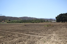 Enlarge photo 116