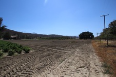 Enlarge photo 117