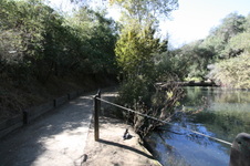 Enlarge photo 15