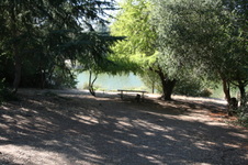 Enlarge photo 26