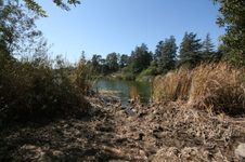 Enlarge photo 28