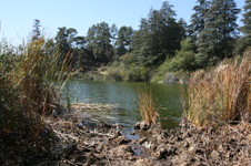 Enlarge photo 29