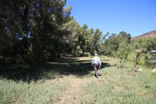 Enlarge photo 5