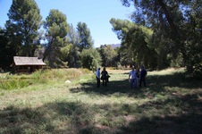 Enlarge photo 8