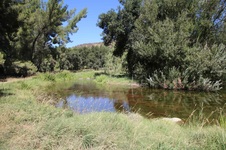 Enlarge photo 9