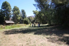 Enlarge photo 11